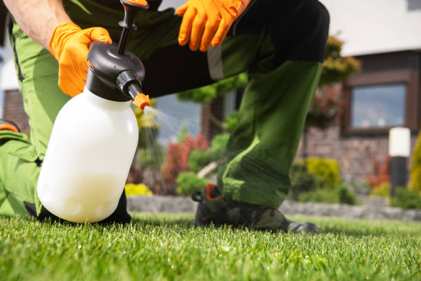 Best Spider Control Near Me  in Kankakee, IL