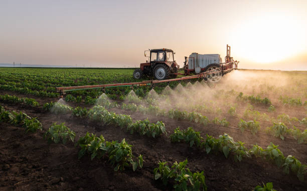 Best Mosquito Control Services  in Kankakee, IL