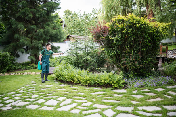 Best Wildlife Control Services  in Kankakee, IL