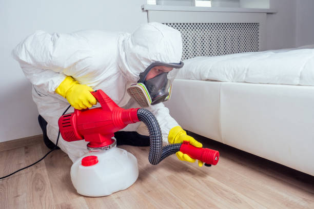 Best Pest Prevention Services  in Kankakee, IL